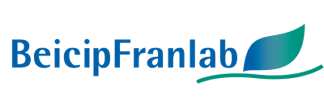 BeicipFranlab